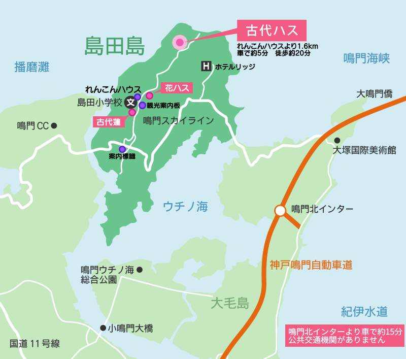 島田島地図